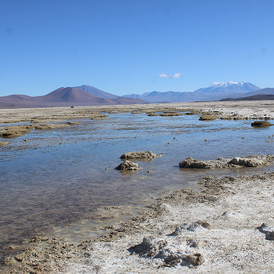Salar Ascotán